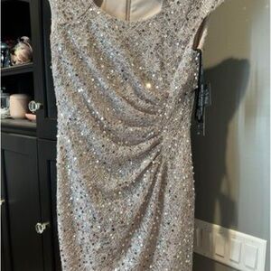 Mother of the Bride.  Tahari Dress.  Beautiful.